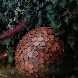 Meet your Posher, Roger